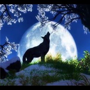 Meet your Posher, Ava